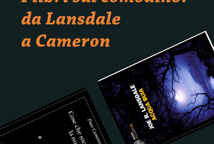 Writers and Readers Libri sul comodino da Lansdale a Cameron
